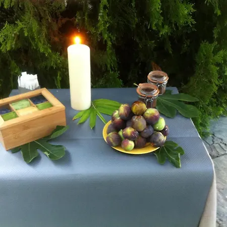 Hotel Marengo Ajaccio (Corsica)