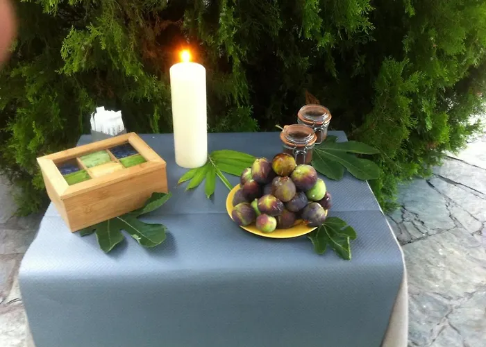 Hotel Marengo Ajaccio (Corsica)